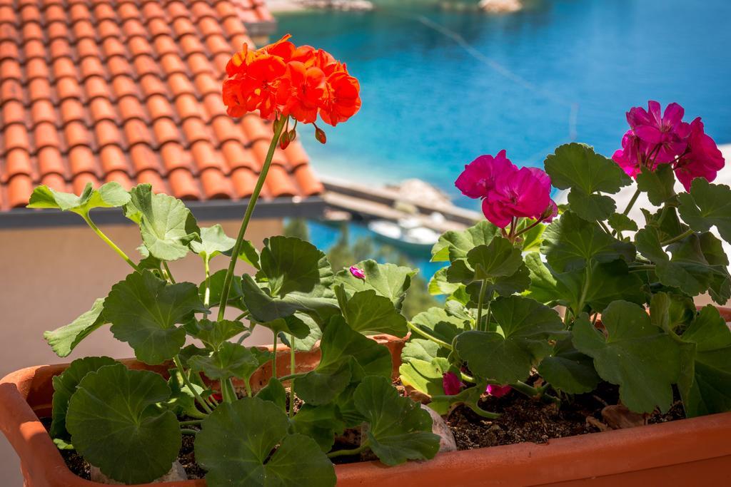 Guest House Davor Tomas Брела Екстериор снимка